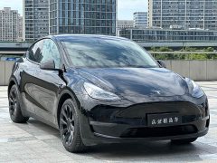 Tesla Model Y Long Range All-Wheel Drive - ფოტო 3