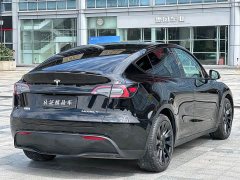 Tesla Model Y Long Range All-Wheel Drive - ფოტო 5