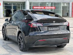 Tesla Model Y Long Range All-Wheel Drive - ფოტო 6