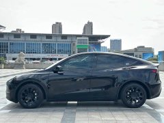 Tesla Model Y Long Range All-Wheel Drive - ფოტო 7