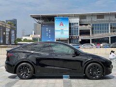 Tesla Model Y Long Range All-Wheel Drive - ფოტო 8