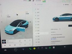 Tesla Model 3 2023 Rear-Wheel Drive - ფოტო 10