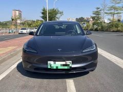 Tesla Model 3 2023 Rear-Wheel Drive - ფოტო 2