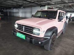 Tank 300 Off-Road Edition 2.0T Challenger - ფოტო 1