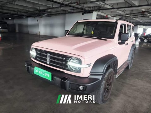 2021 Tank 300 Off-Road Edition 2.0T Challenger - ავტომობილი ჩინეთიდან