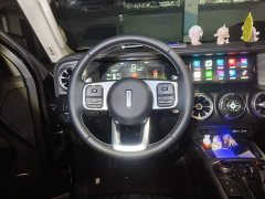 Tank 300 Off-Road Edition 2.0T Challenger - ფოტო 12