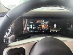 Tank 300 Off-Road Edition 2.0T Challenger - ფოტო 14