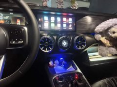 Tank 300 Off-Road Edition 2.0T Challenger - ფოტო 15