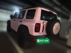 Tank 300 Off-Road Edition 2.0T Challenger - ფოტო 5