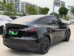Tesla Model Y Rear-Wheel Drive - ფოტო 6