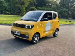Wuling Hongguang MINIEV Macaron Sandwich Edition 120km LFP Battery - ფოტო 1