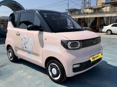 Wuling Hongguang MINIEV 2021 Macaron Fashion Edition Ternary Lithium - ფოტო 3