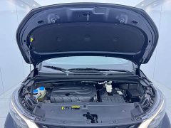GAC Aion M6 2021 PRO 270T DCT Luxury - ფოტო 16
