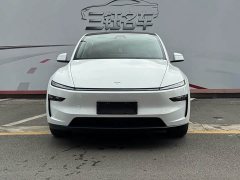 Tesla Model Y Rear-Wheel Drive - ფოტო 2