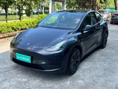 Tesla Model Y Rear-Wheel Drive - ფოტო 1