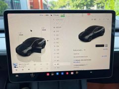 Tesla Model Y Rear-Wheel Drive - ფოტო 12
