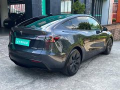 Tesla Model Y Rear-Wheel Drive - ფოტო 13