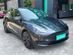 Tesla Model Y Rear-Wheel Drive - ფოტო 14