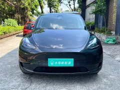 Tesla Model Y Rear-Wheel Drive - ფოტო 2