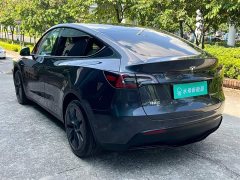 Tesla Model Y Rear-Wheel Drive - ფოტო 6