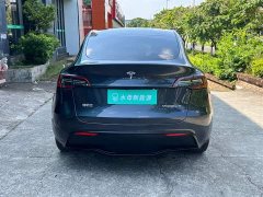 Tesla Model Y Rear-Wheel Drive - ფოტო 7
