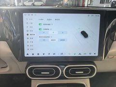 Leapmotor Leapo C11 Pure Electric 500 Comfort Edition - ფოტო 11