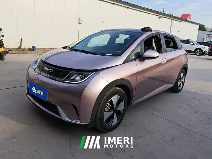 BYD Dolphin 420km Fashion Edition - ავტომობილი ჩინეთიდან