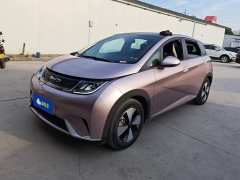 BYD Dolphin 420km Fashion Edition - ფოტო 1