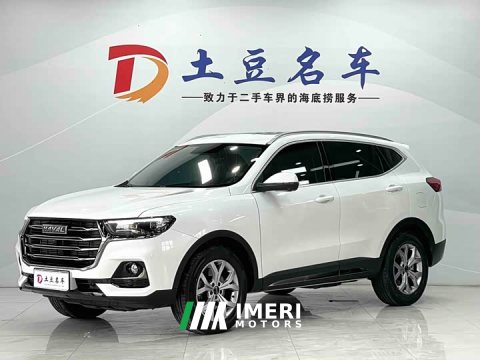 2022 Haval H6 2021 National Trend 1.5T Automatic Champion Edition - ავტომობილი ჩინეთიდან
