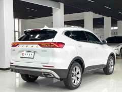 Haval H6 2021 National Trend 1.5T Automatic Champion Edition - ფოტო 16