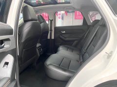 Haval Chitu Jingxiang Edition 1.5T Purple Copper Rabbit - ფოტო 11