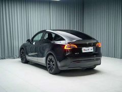 Tesla Model Y Rear-Wheel Drive - ფოტო 10