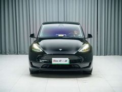 Tesla Model Y Rear-Wheel Drive - ფოტო 2