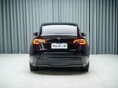 Tesla Model Y Rear-Wheel Drive - ფოტო 9