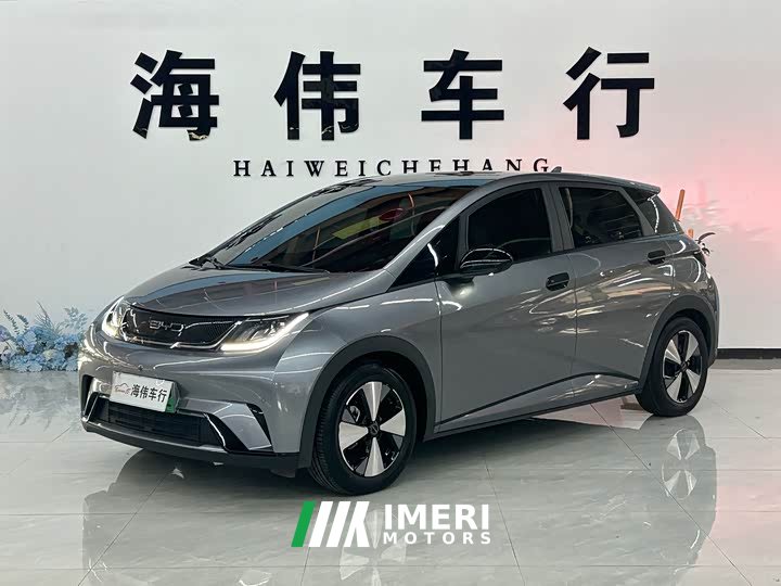 BYD Dolphin 420km Fashion Edition - ავტომობილი ჩინეთიდან