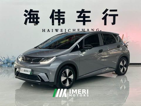 2023 BYD Dolphin 420km Fashion Edition - ავტომობილი ჩინეთიდან