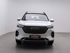 Haval M6 PLUS 1.5T Manual Luxury Smart Connected Edition - ფოტო 3