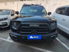 Great Wall Dachshund 2.0T DCT Chinese Rural Dog Edition - ფოტო 2