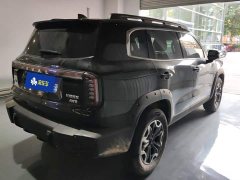 Great Wall Dachshund 2.0T DCT Chinese Rural Dog Edition - ფოტო 3