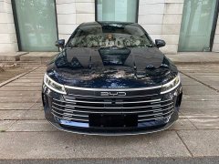 BYD Destroyer 05 Glory Edition DM-i 55KM Luxury - ფოტო 2