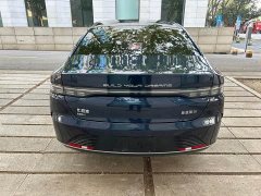 BYD Destroyer 05 Glory Edition DM-i 55KM Luxury - ფოტო 5