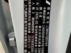 Wuling Starlight 560 New Energy Pure Electric 500km Luxury - ფოტო 16