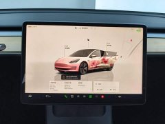 Tesla Model 3 Rear-Wheel Drive - ფოტო 13