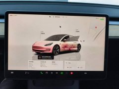 Tesla Model 3 Rear-Wheel Drive - ფოტო 14