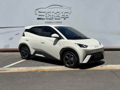 BYD Seagull Freedom Edition - ფოტო 3