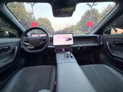 Leapmotor Leapo Lafa5 515 Max - ფოტო 7