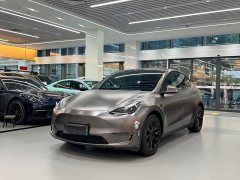 Tesla Model Y Long Range All-Wheel Drive - ფოტო 1