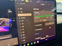 Tesla Model Y Long Range All-Wheel Drive - ფოტო 6