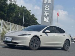Tesla Model 3 Rear-Wheel Drive - ფოტო 1