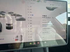 Tesla Model 3 Rear-Wheel Drive - ფოტო 16
